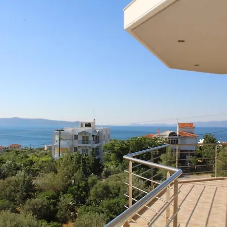 Nereids ألفيريون